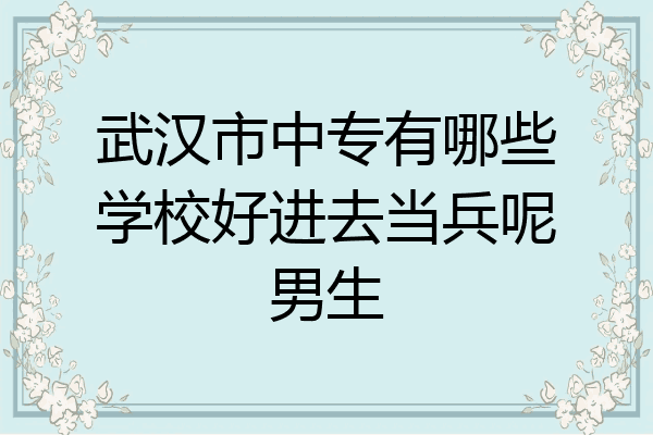 武汉市中专有哪些学校好进去当兵呢男生