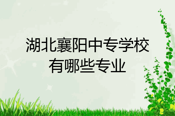 湖北襄阳中专学校有哪些专业