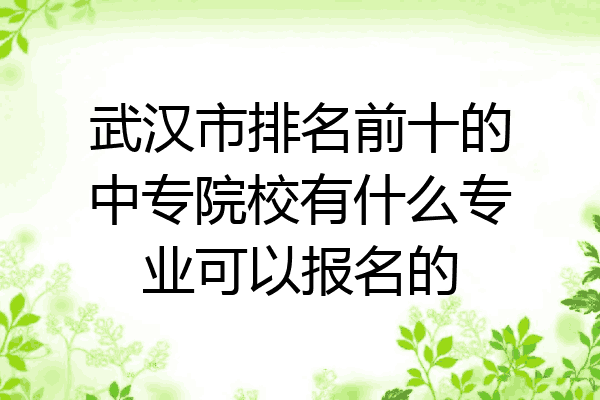 武汉市排名前十的中专院校有什么专业可以报名的