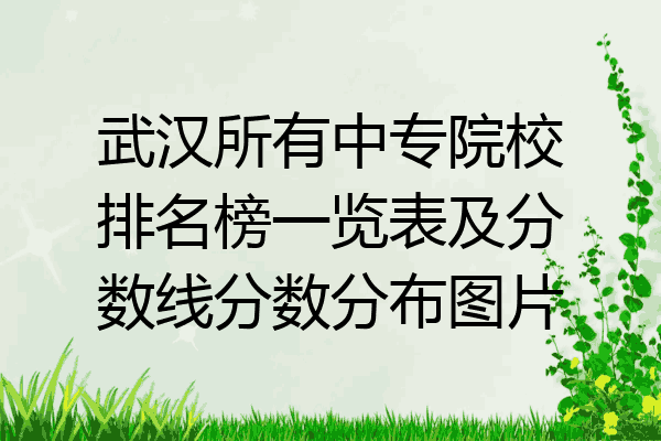 武汉所有中专院校排名榜一览表及分数线分数分布图片