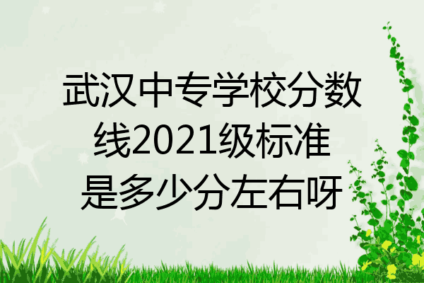 武汉中专学校分数线2021级标准是多少分左右呀