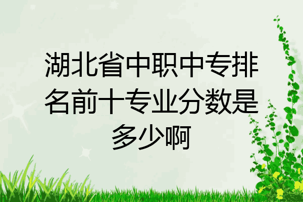 湖北省中职中专排名前十专业分数是多少啊