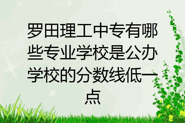 罗田理工中专有哪些专业学校是公办学校的分数线低一点