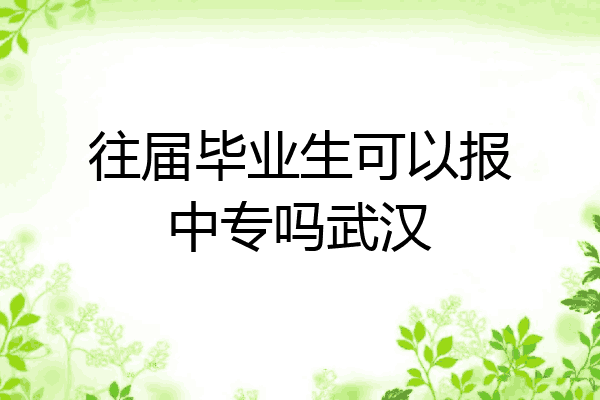 往届毕业生可以报中专吗武汉
