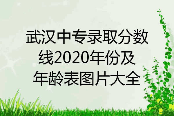 武汉中专录取分数线2020年份及年龄表图片大全