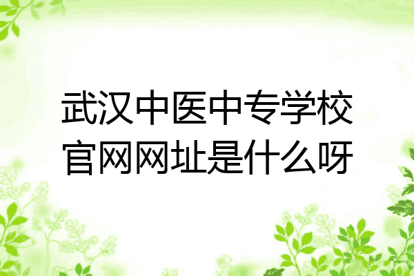 武汉中医中专学校官网网址是什么呀