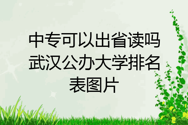 中专可以出省读吗武汉公办大学排名表图片