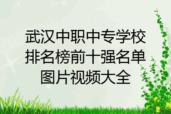 武汉中职中专学校排名榜前十强名单图片视频大全