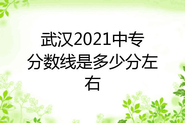 武汉2021中专分数线是多少分左右