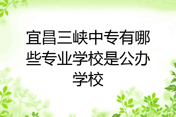 宜昌三峡中专有哪些专业学校是公办学校