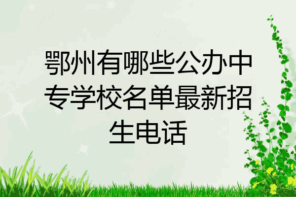 鄂州有哪些公办中专学校名单最新招生电话