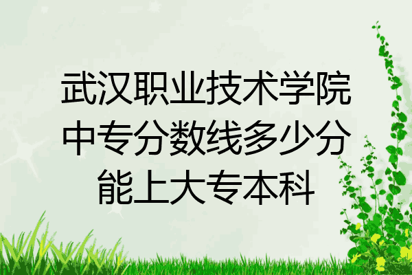 武汉职业技术学院中专分数线多少分能上大专本科