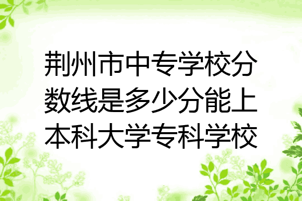 荆州市中专学校分数线是多少分能上本科大学专科学校