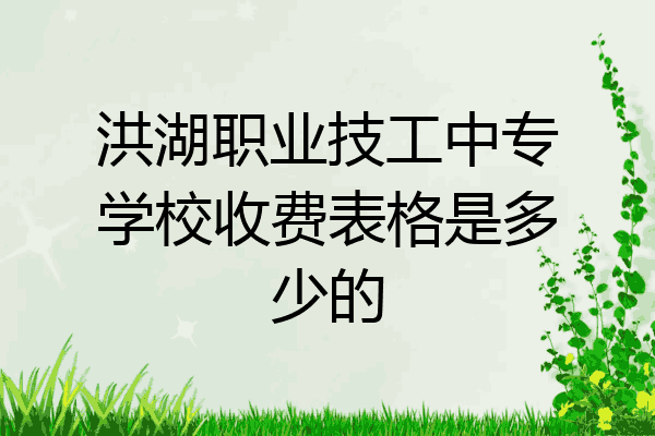 洪湖职业技工中专学校收费表格是多少的