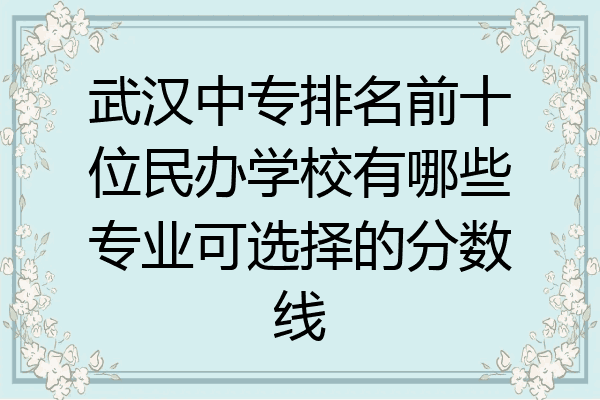 武汉中专排名前十位民办学校有哪些专业可选择的分数线