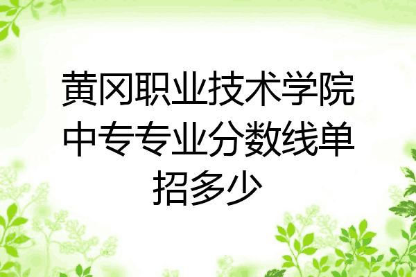 黄冈职业技术学院中专专业分数线单招多少