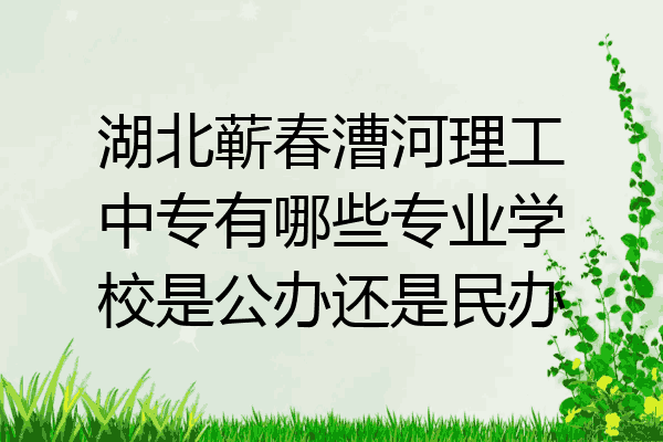 湖北蕲春漕河理工中专有哪些专业学校是公办还是民办