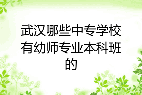 武汉哪些中专学校有幼师专业本科班的