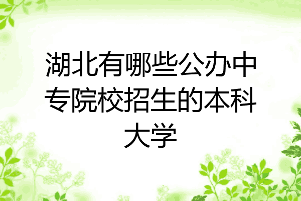 湖北有哪些公办中专院校招生的本科大学