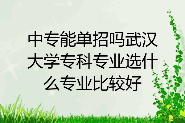 中专能单招吗武汉大学专科专业选什么专业比较好