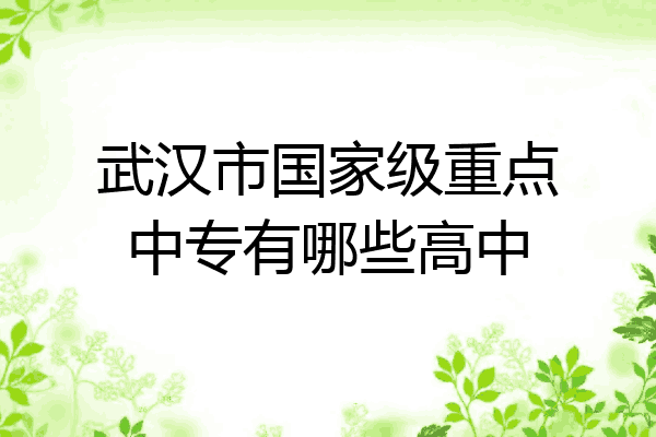 武汉市国家级重点中专有哪些高中