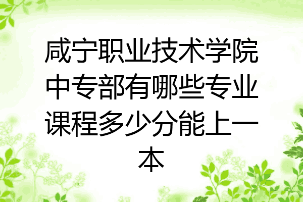 咸宁职业技术学院中专部有哪些专业课程多少分能上一本