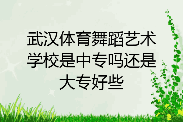 武汉体育舞蹈艺术学校是中专吗还是大专好些