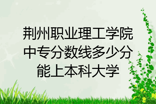 荆州职业理工学院中专分数线多少分能上本科大学