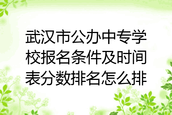 武汉市公办中专学校报名条件及时间表分数排名怎么排
