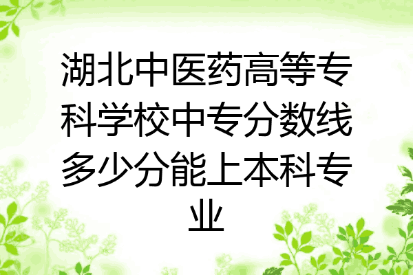 湖北中医药高等专科学校中专分数线多少分能上本科专业