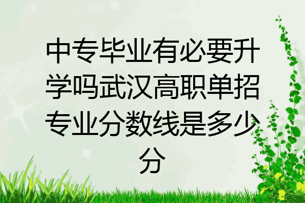 中专毕业有必要升学吗武汉高职单招专业分数线是多少分