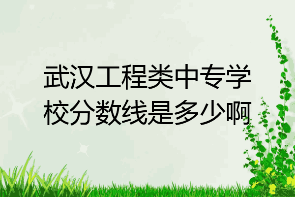 武汉工程类中专学校分数线是多少啊