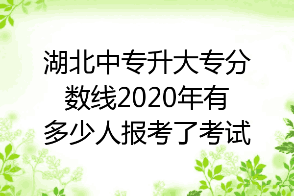 湖北中专升大专分数线2020年有多少人报考了考试