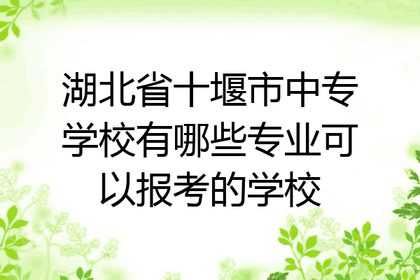 湖北省十堰市中专学校有哪些专业可以报考的学校