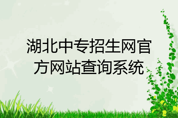 湖北中专招生网官方网站查询系统
