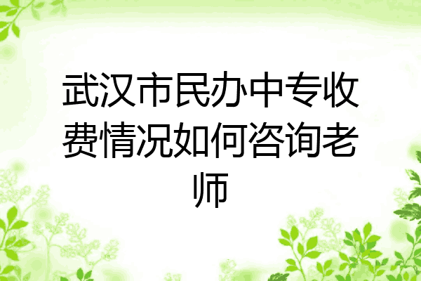 武汉市民办中专收费情况如何咨询老师