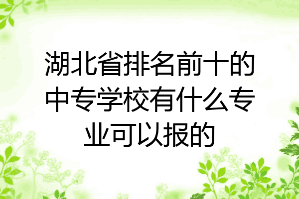湖北省排名前十的中专学校有什么专业可以报的