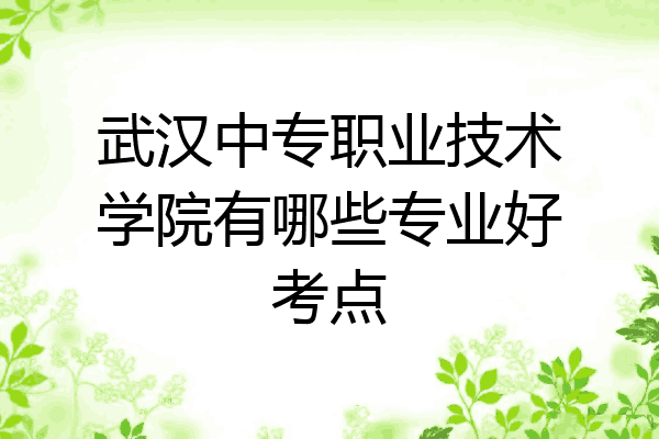 武汉中专职业技术学院有哪些专业好考点