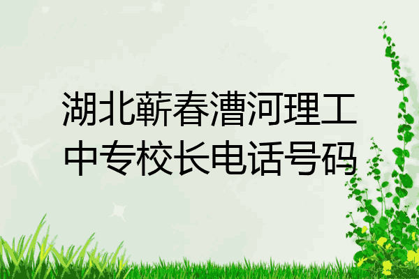 湖北蕲春漕河理工中专校长电话号码
