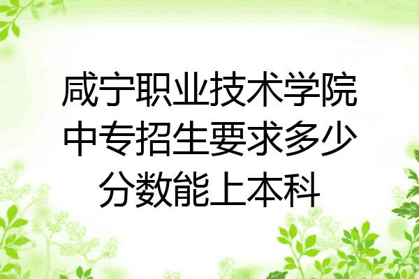 咸宁职业技术学院中专招生要求多少分数能上本科