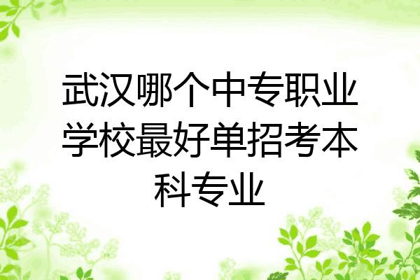 武汉哪个中专职业学校最好单招考本科专业