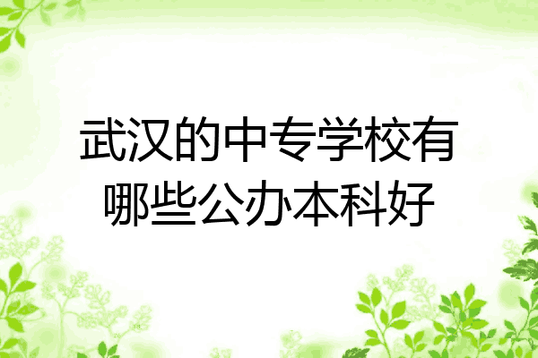 武汉的中专学校有哪些公办本科好