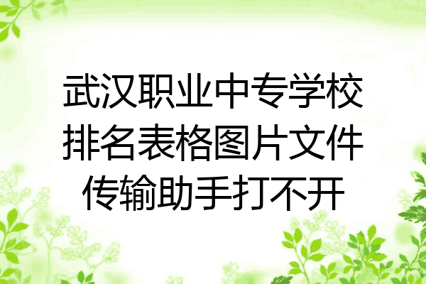 武汉职业中专学校排名表格图片文件传输助手打不开