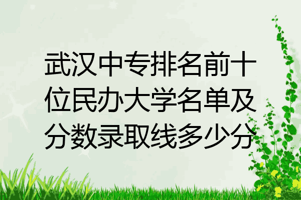 武汉中专排名前十位民办大学名单及分数录取线多少分