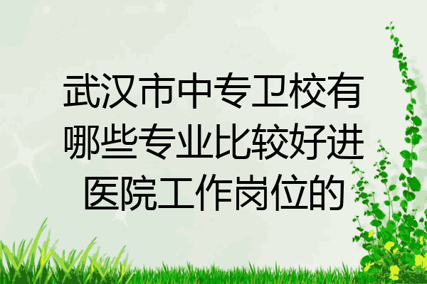 武汉市中专卫校有哪些专业比较好进医院工作岗位的