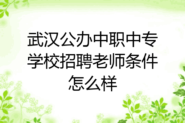 武汉公办中职中专学校招聘老师条件怎么样