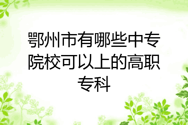 鄂州市有哪些中专院校可以上的高职专科