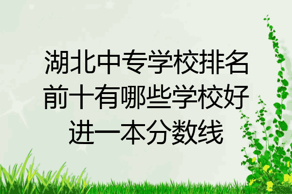 湖北中专学校排名前十有哪些学校好进一本分数线