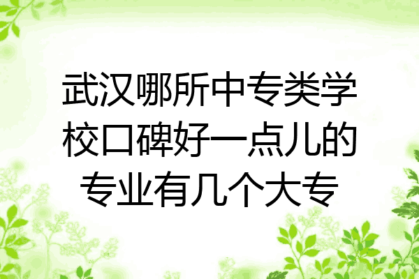 武汉哪所中专类学校口碑好一点儿的专业有几个大专