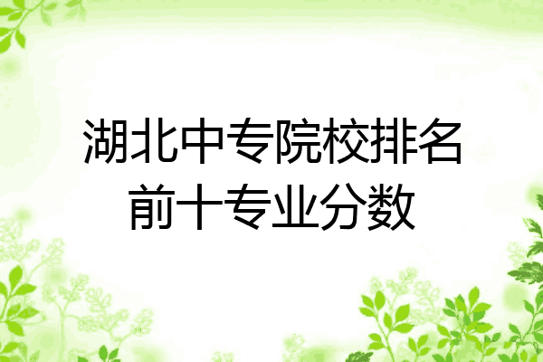 湖北中专院校排名前十专业分数